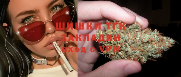 индика Осинники