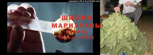 прущий лед Алзамай