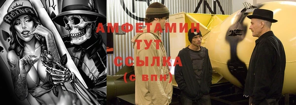 индика Осинники