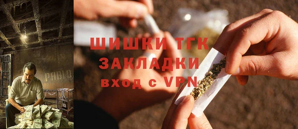 прущий лед Алзамай
